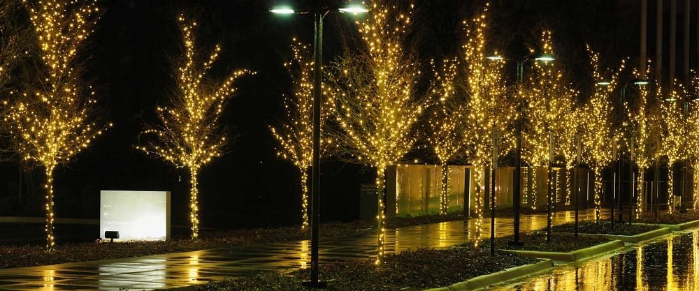 Commercial Christmas Lighting - Lit Walkway