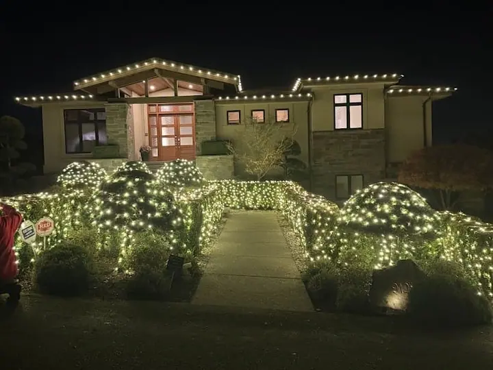 Rooflines & landscape lighting